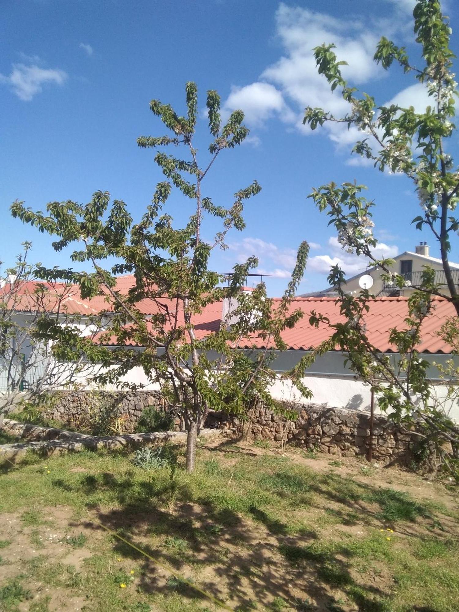 Guesthouse Martina Zengg Kültér fotó